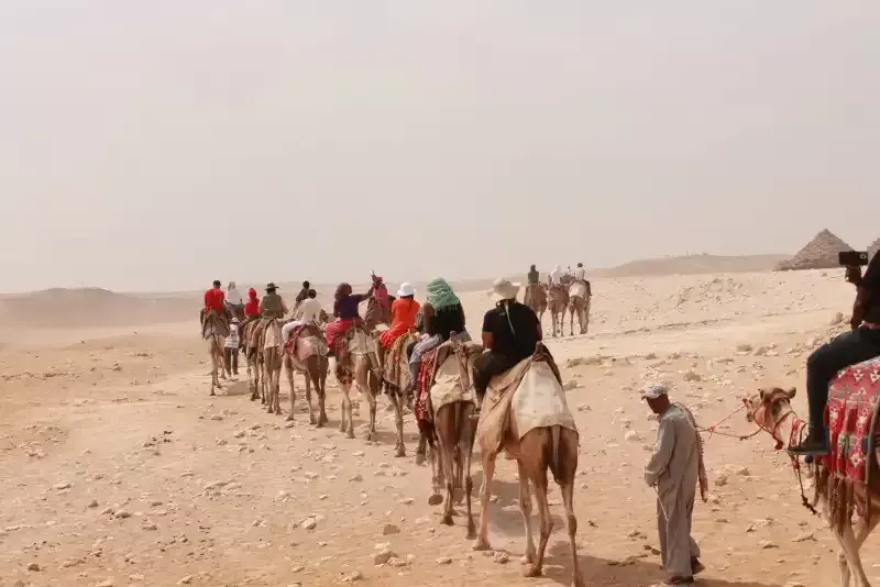 Camel Ride Giza Pyramids Tour